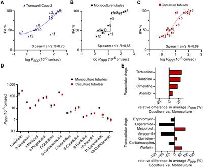 Quantifying the transport of biologics across intestinal barrier models in real-time by fluorescent imaging